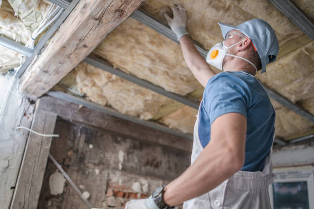 Best Commercial Insulation in Trotwood, OH